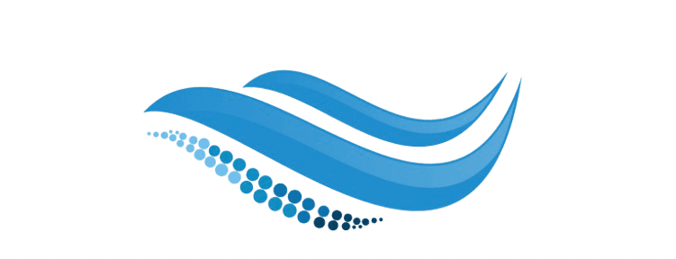 Waves Technology & Services Logo